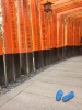 Fushimi-Inari Shrine 2.JPG